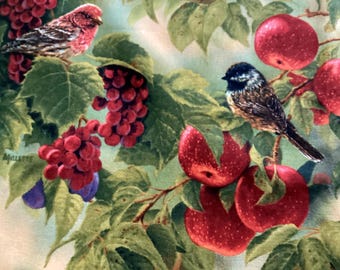 Packed Birds - Bird Sanctuary - Wild Wings by Rosemary Millette - CP 21851 - 1/2 yd  - Quilt fabric (986A)