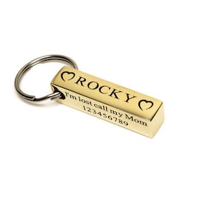 Microchip Pet ID Tag, Tag for Dog, Pet ID Tag, Personalized Dog Tags, Custom Pet ID Tag, Microchipped Tag for Dogs, Dog Tag for Dogs