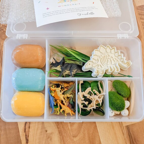Dinosaur Sensory Kit Dinosaur Excavation Kit Playdough Kit