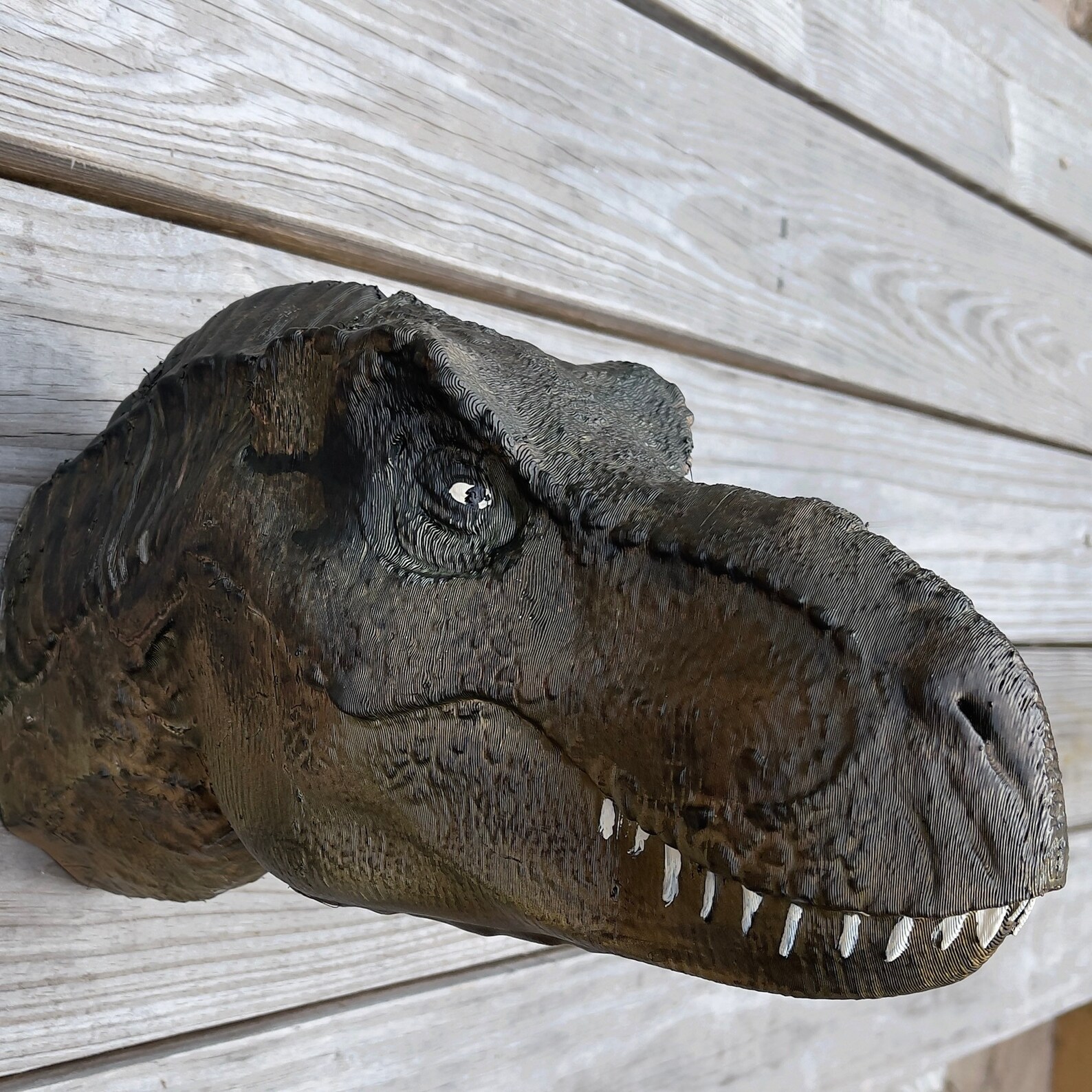 t rex wall head