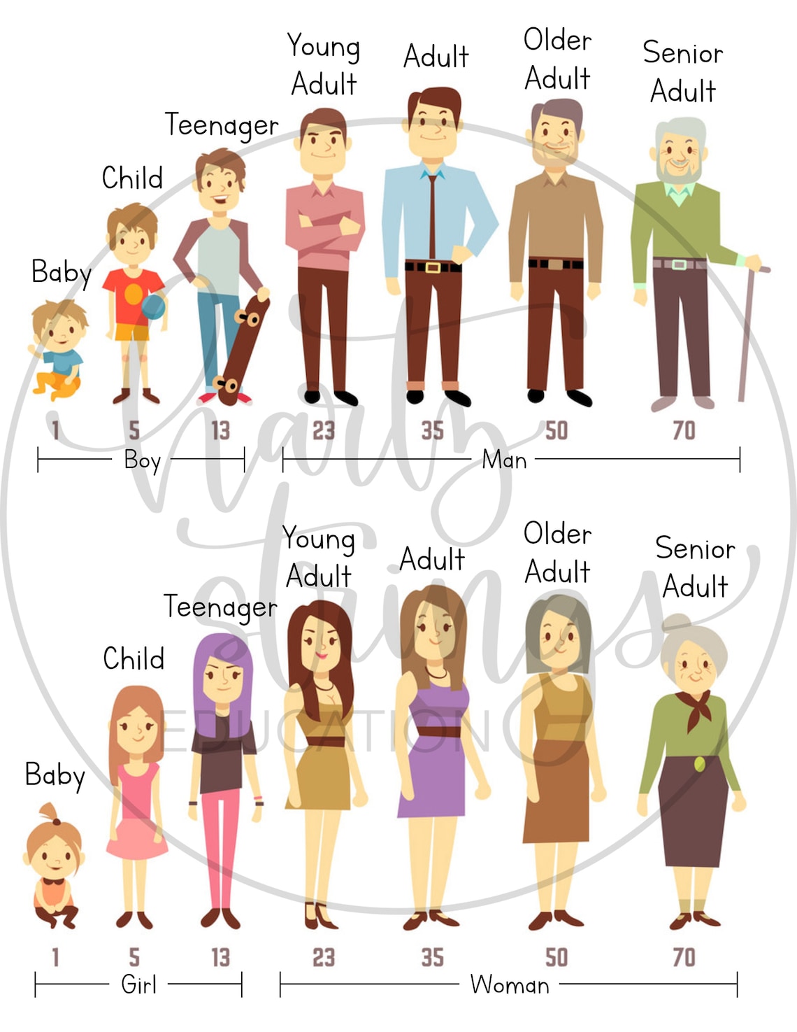 Baby to Senior Adult Growth Timeline Poster Etsy