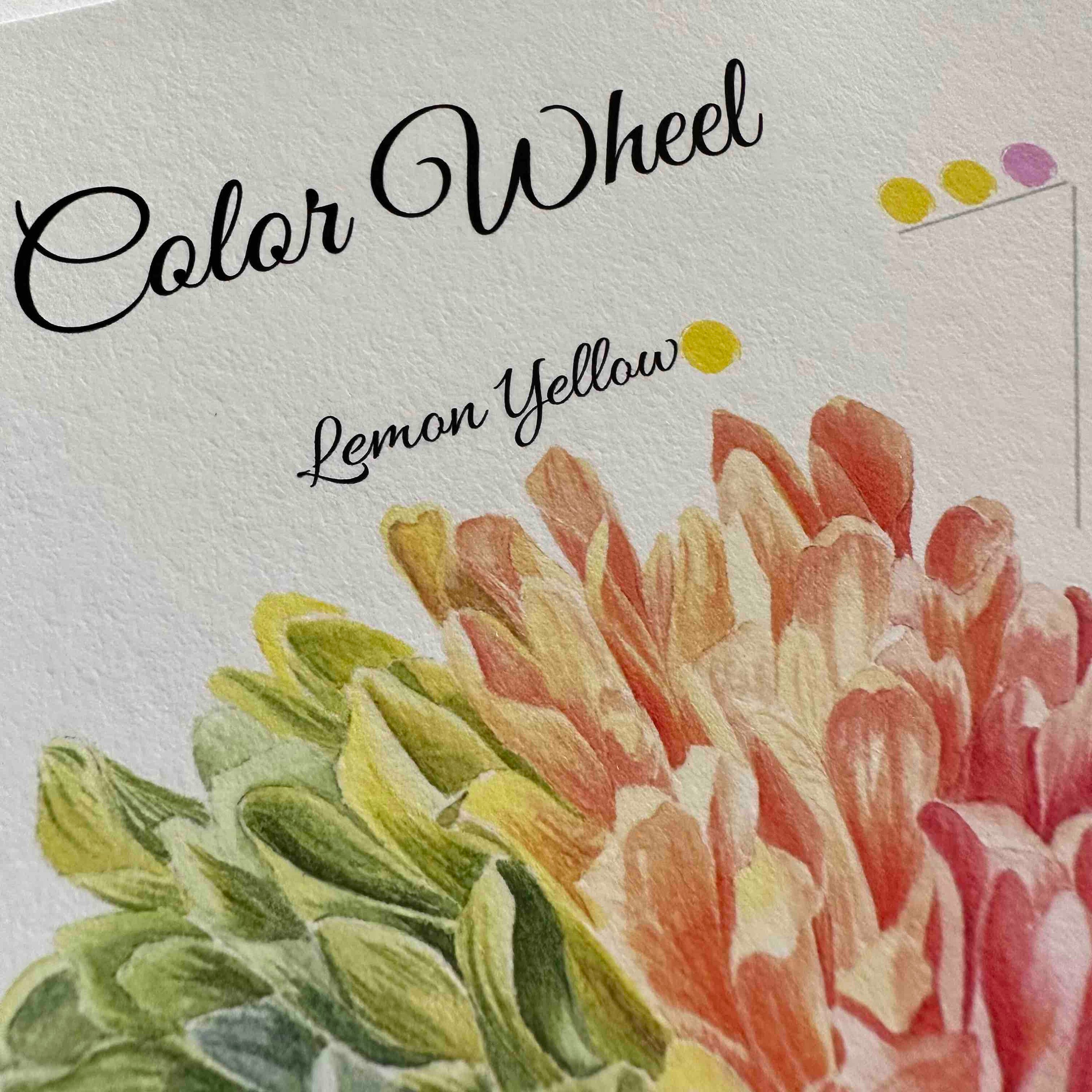Flower Color Wheel Wall Art Printing Color Mixing Guide Etsy