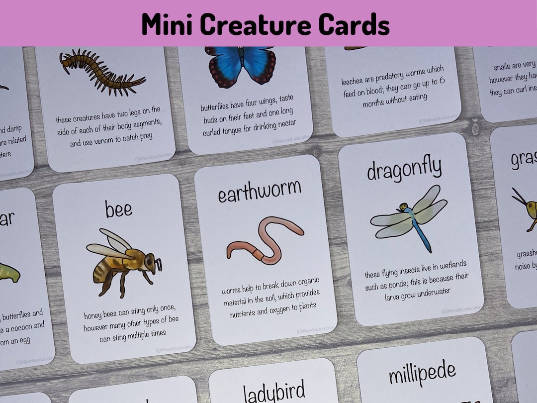 Printable  Mini Creature Flashcards Animal Fact Cards