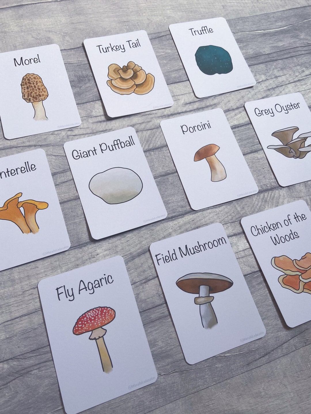 Printable Mushroom Flashcards Nature Educational Learning - Etsy UK