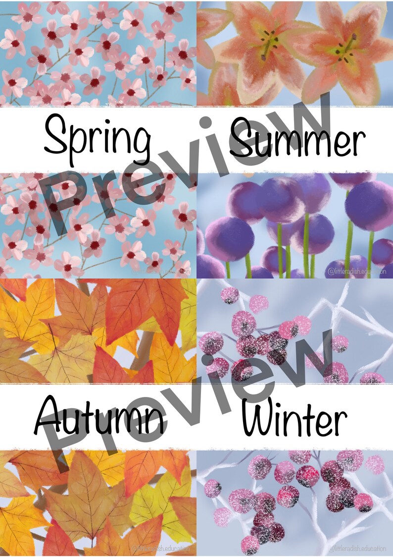 Printable Seasons Flashcards Educational Learning - Etsy