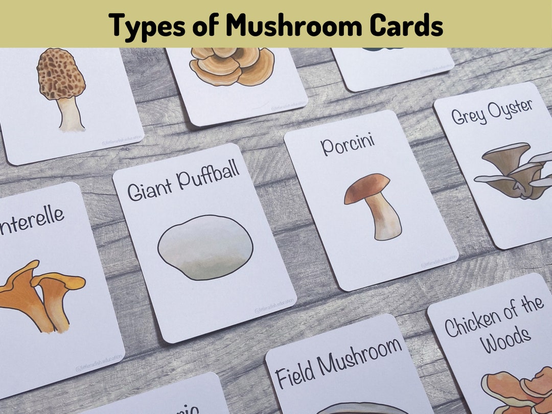 Printable Mushroom Flashcards, Nature Educational Learning Resources