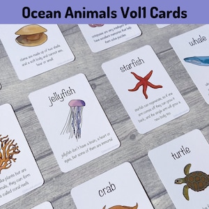 Printable Ocean Animals Vol 1 Cards Teaching Learning - Etsy