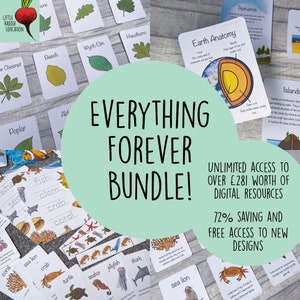 Digital Everything Forever Bundle - Digital Homeschool Teaching Resources, Home Education Printables, Worksheets and Flashcards, Complete