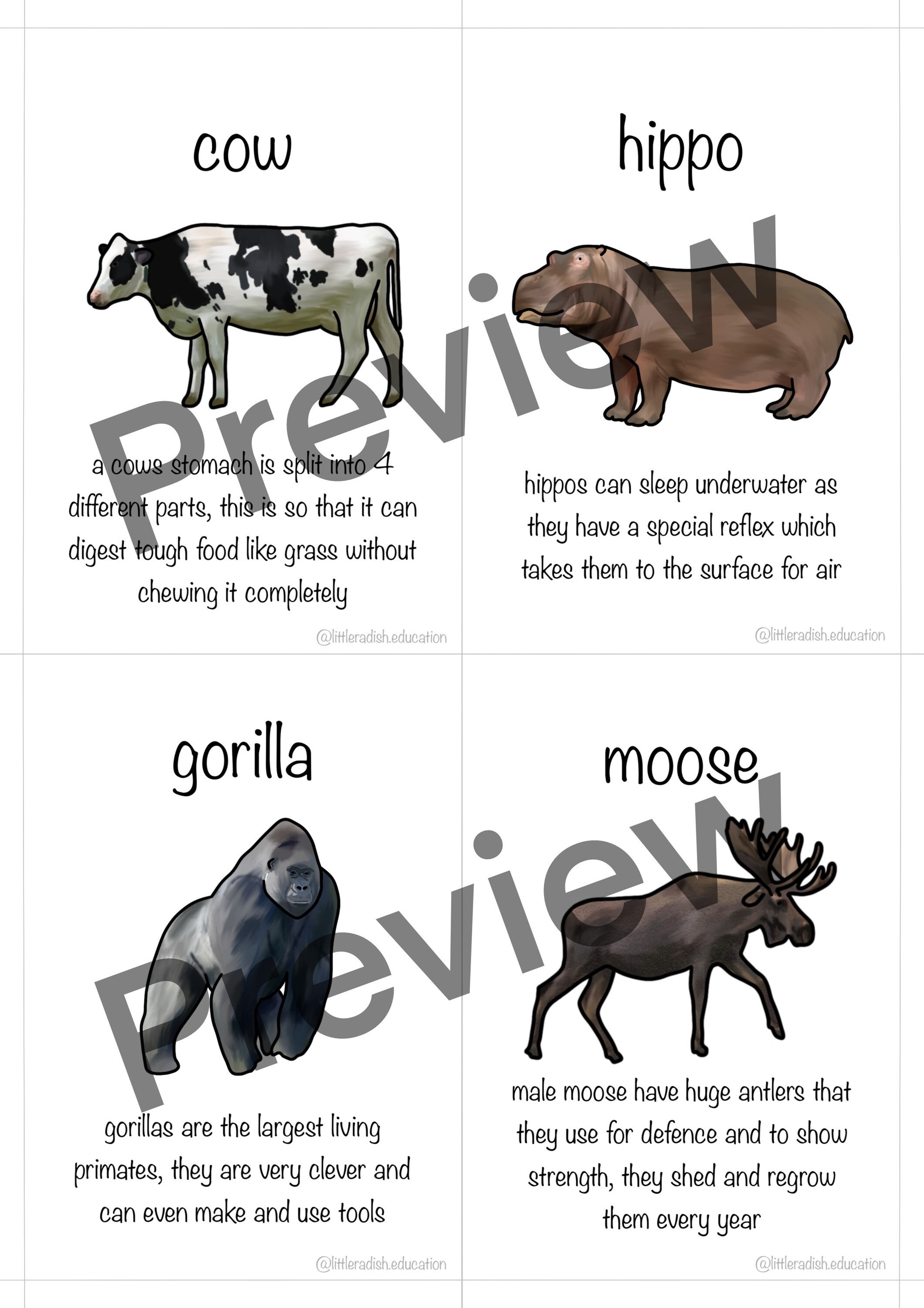 Printable Big Creature Flashcards Animal Fact Cards - Etsy