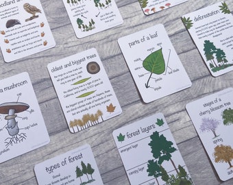 Printable - Forest Fact Flashcards, Nature Educational Learning Resources, Early Years, Outdoor Forest School Materials, Homeschool Resource
