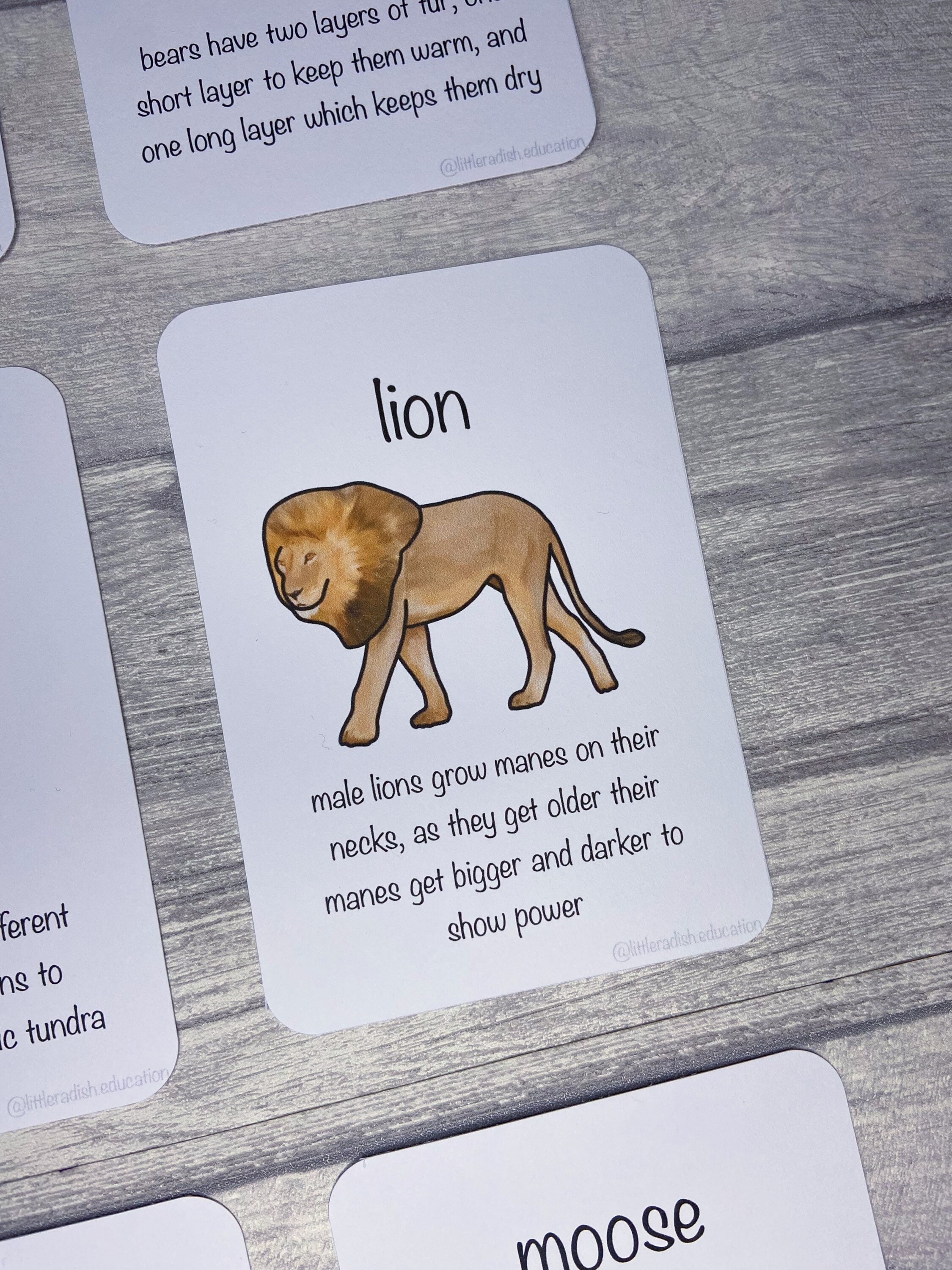 Printable Big Creature Flashcards Animal Fact Cards - Etsy