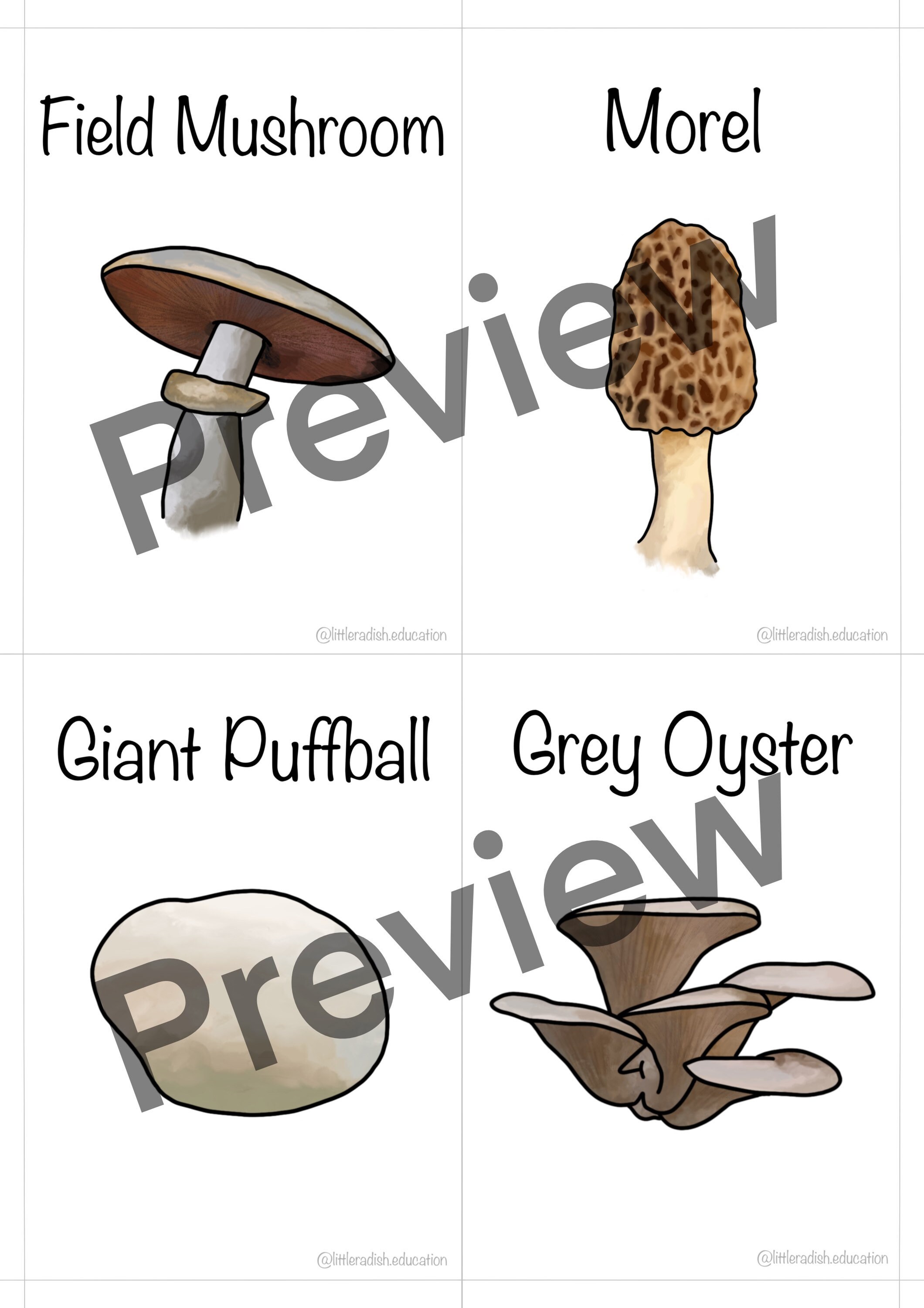 Printable Mushroom Flashcards Nature Educational Learning - Etsy