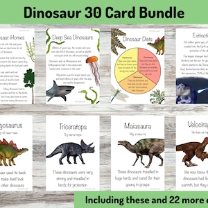 Dinosaur 30 Card Bundle Printable, Teaching Learning Resources, Montessori Materials, Children’s Flashcards, Homeschool digital, dino Cards