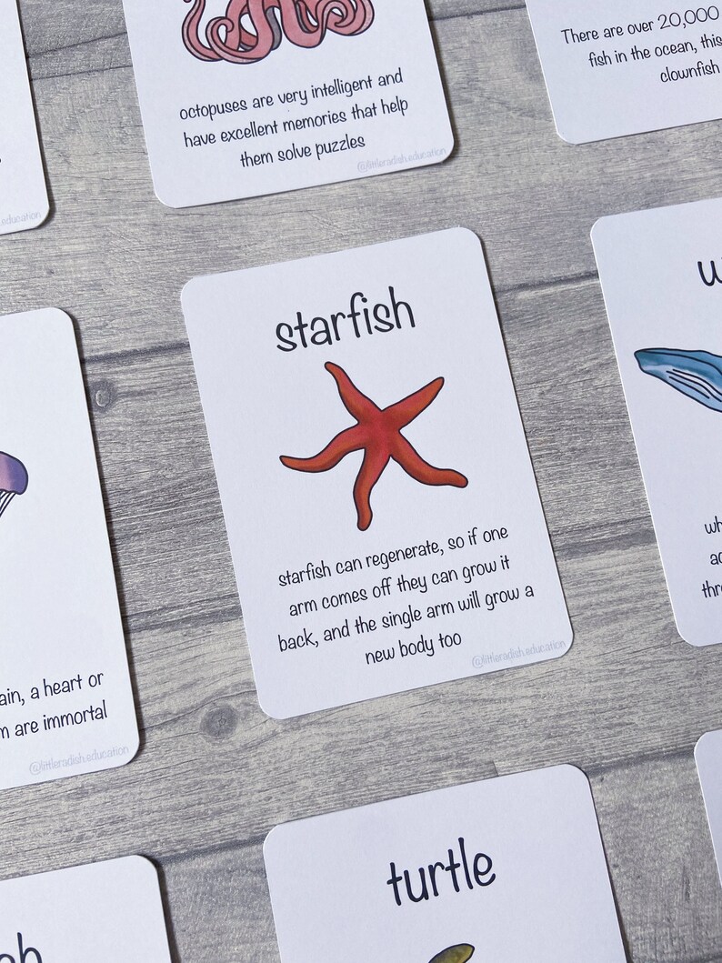 Printable Ocean Animals Vol 1 Cards Teaching Learning - Etsy