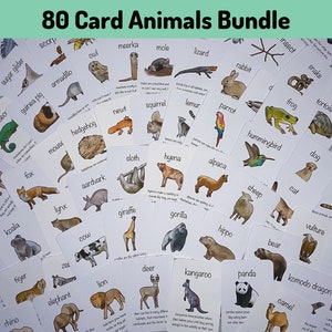 Animal 80 Card Bundle Printable, Animal Fact Cards, Teaching Learning Resources, Homeschool Digital, Animals Around the World, Minibeasts