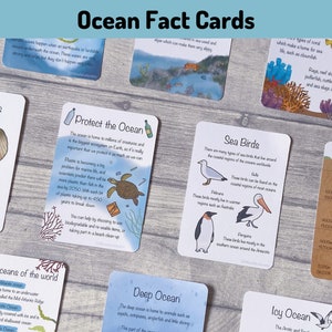 Ocean Facts Flashcards Printable, Teaching Learning Resources, World Oceans Day Homeschool Digital, Sealife Flash Cards, Under the Sea