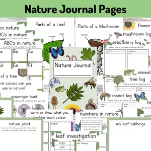 Nature Journal Pages Printable, Educational Learning Resources, Spring/Summer Activities, Outdoor Forest School, Nature Study Observation