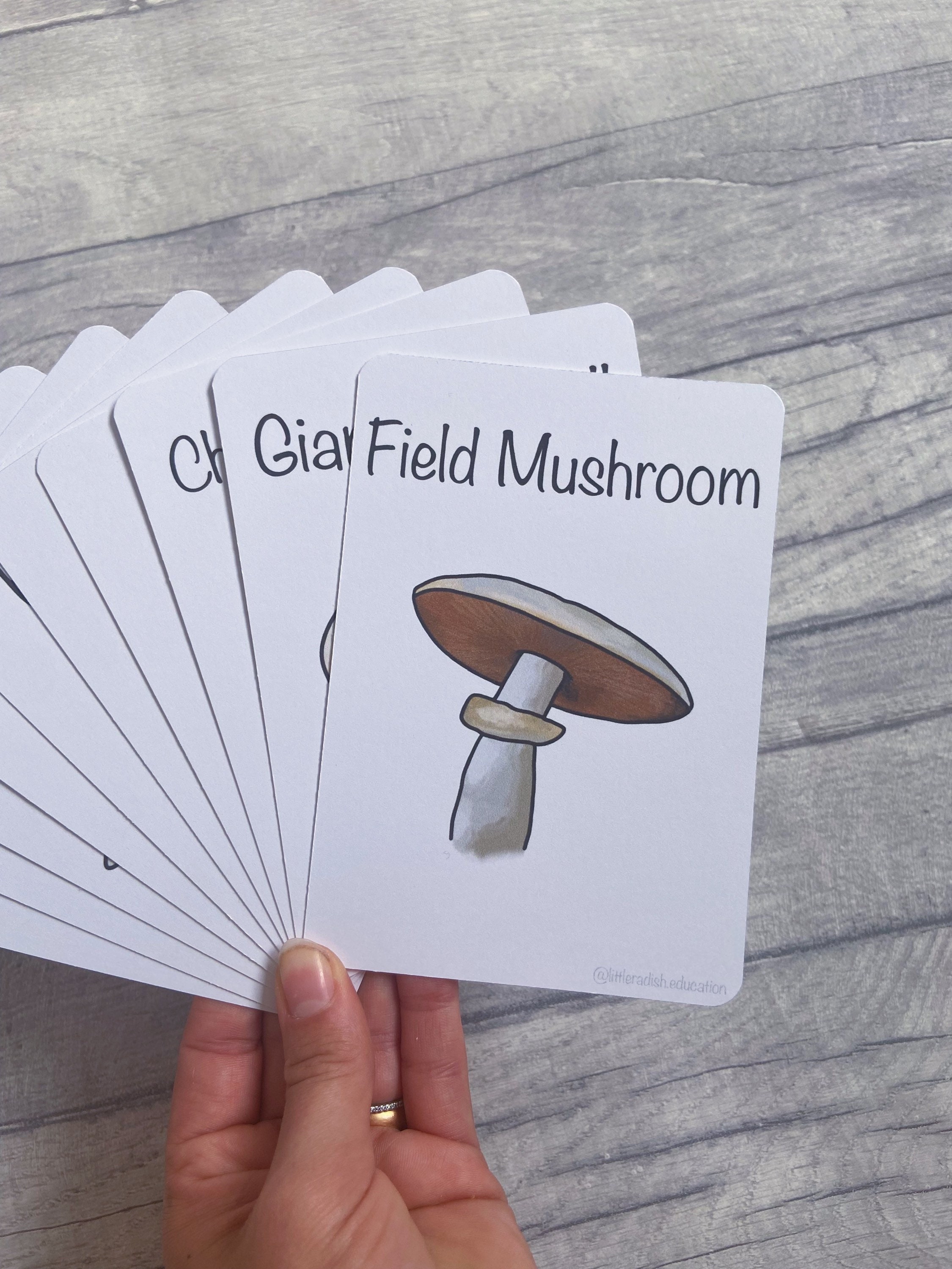 Printable Mushroom Flashcards Nature Educational Learning - Etsy