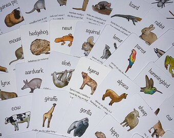 Printable - Animal 80 Card Bundle, Animal Fact Cards, Teaching Learning Resources, Homeschool Digital, Animals Around the World, Minibeasts