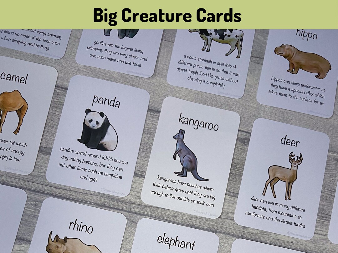 Printable Big Creature Flashcards, Animal Fact Cards, Teaching Learning ...