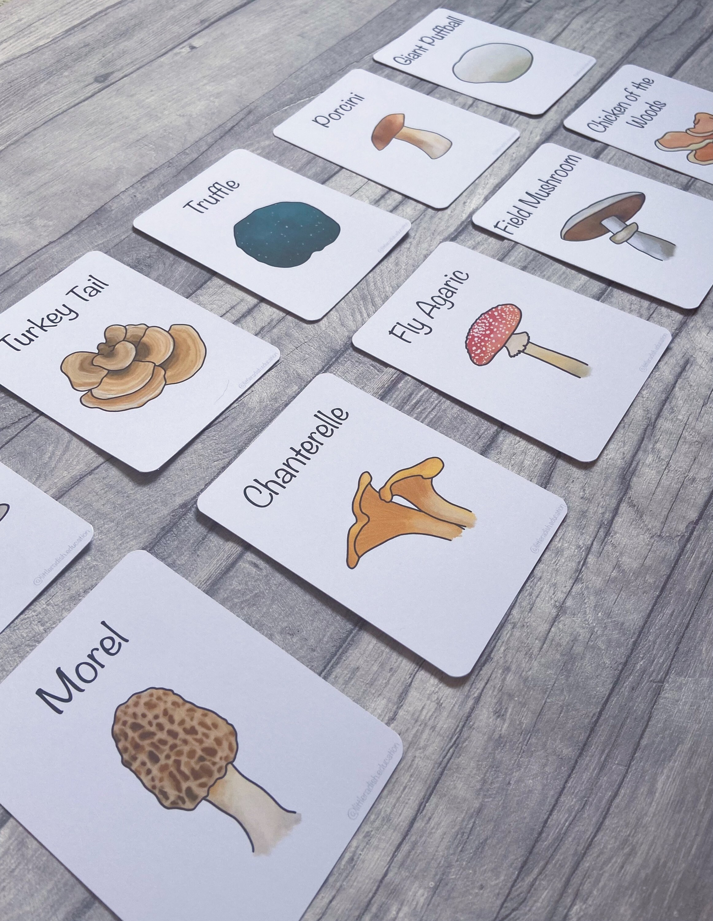 Printable Mushroom Flashcards Nature Educational Learning - Etsy