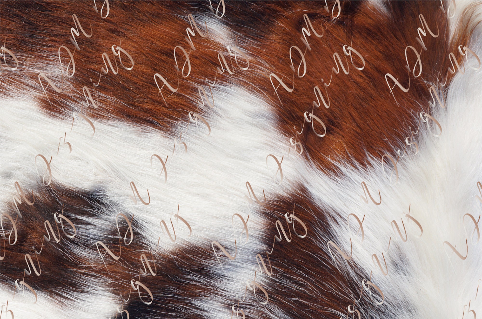 Cowhide Digital Downloadwaterslidecowhide Download for - Etsy