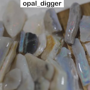 May include: A close-up of a collection of raw opal pieces, showing a range of colours and shapes. The opals have flashes of iridescent colour, with white, grey, and hints of blue and green. The text "opal_digger" is visible in the image.