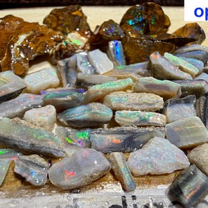 May include: A selection of raw opal stones in different shapes and sizes. The opals show a variety of colours, including iridescent blues, greens, and oranges. Some opals have a brown matrix. The image includes the text "opal_digger".