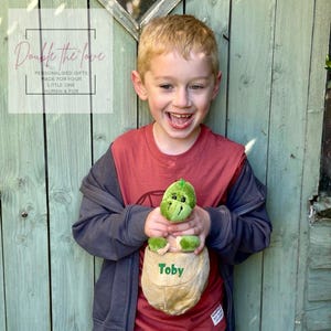 May include: A young boy is holding a green plush dinosaur in a brown fabric pocket with the name "Toby" embroidered on it. The boy is wearing a red t-shirt and a gray hoodie. The background is a green wooden fence.
