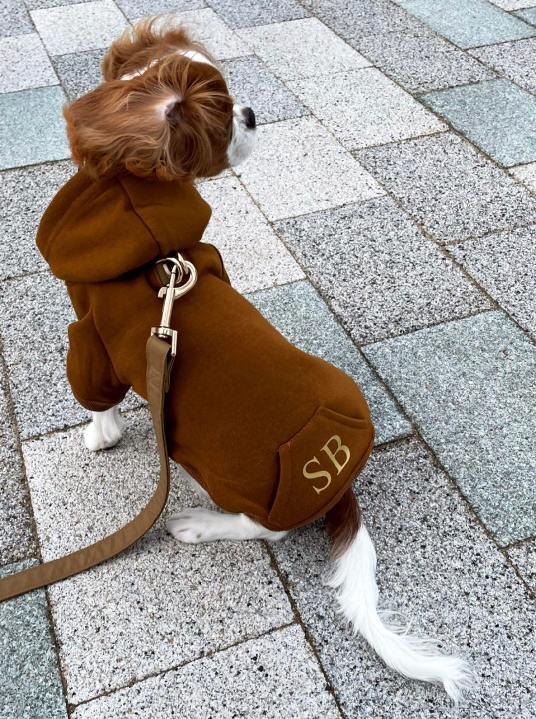 Personalised Dog Hoodie With Initials Dog Clothing Pet Jumper Etsy UK