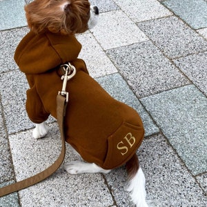 Personalised dog hoodie with initials - Dog clothing - pet jumper