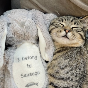 Personalised kitten cat soft toy - Teddy -
