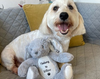 Personalised dog toy - Teddy - Puppy toy- Dog soft toy - Plush teddy - New puppy