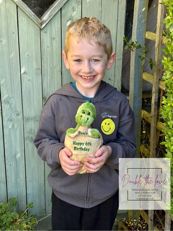 Personalised dinosaur soft toy with egg - birthday gift toddler - kids dinosaur hatching egg -