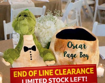 Personalised page boy  dinosaur with egg - wedding  gift toddler - kids dinosaur hatching egg -