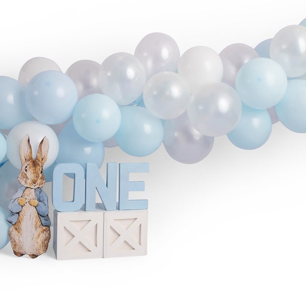 Peter Rabbit Cake Smash Birthday Digital Backdrop for 1st Birthday Photography Editing
