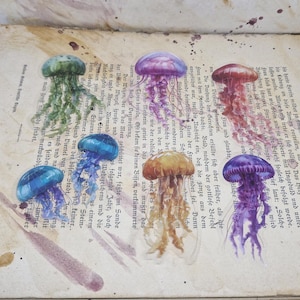 Jellyfish Sticker Set, 6 Pieces - Esoteric / Magic / Sea / Fantasy