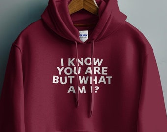 I Know You Are But What Am I Hoodie, Funny Sarcastic Hoodie, Sarcasm Hoodie, Pee-wee Herman Quote Hoodie, Pee-wee's Big Adventure Sweatshirt