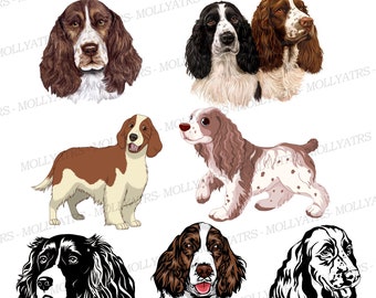 Springer Spaniel Svg Etsy