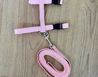 Harness and Leash for Rabbits, Rabbit Harness and Lead, Rabbit Owner Gift, Easter Bunny,