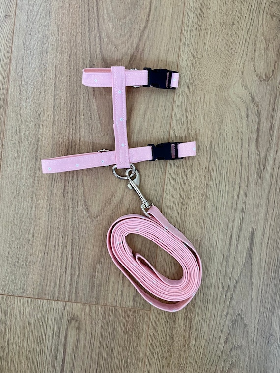 Harness and Leash for Rabbits, Rabbit Harness and Lead, Rabbit Owner Gift, Easter Bunny, Small Animal Harness and Leash