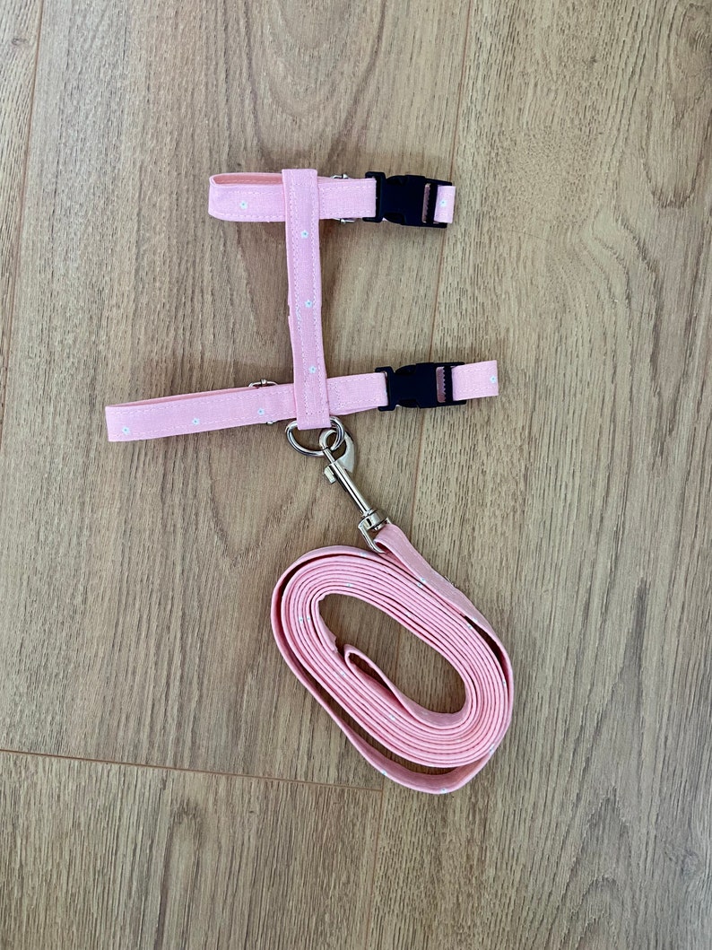 Puede incluir: Arn&eacute;s para perro rosa con estampado blanco y una correa rosa a juego. El arn&eacute;s tiene dos correas ajustables con hebillas negras y un clip plateado. La correa est&aacute; enrollada y lista para usar.