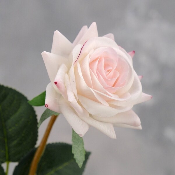 Real Touch Latex Rose Stem | High Quality Artificial Flower | DIY Floral | Wedding/Home Decoration | Gifts - White & Light Pink