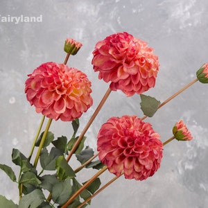 Realistic Palmares Dahlia Stem | High Quality Artificial Flower | Centerpieces | DIY | Floral | Wedding/Home Decoras | Gifts - Pink