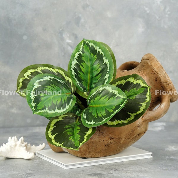 Faux Zebra Plant Calathea Medaillon - Kunstpflanze