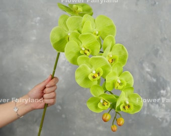 38" Real Touch 9 Heads Orchid Stem | High Quality Artificial Flower | Floral | Centerpiece | Wedding/Home Decoration | Gifts - Green