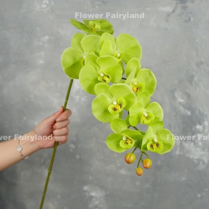 38" Real Touch 9 Heads Orchid Stem | High Quality Artificial Flower | Floral | Centerpiece | Wedding/Home Decoration | Gifts - Green