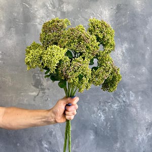 Faux Garden Stonecrop Long Branch - Artificial Plant - Green