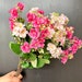 see more listings in the Flower Fillers section
