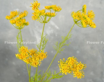 31“ Faux Queen Anne's Lace Plant Stem | Artificial Flower | DIY | Floral | Wedding/Home Decoration | Gifts - Yellow